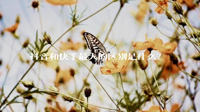 抖音和快手最大的区别是什么？