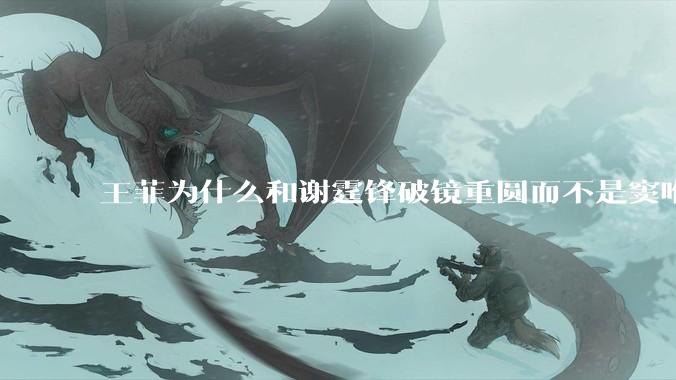 王菲为什么和谢霆锋破镜重圆而不是窦唯？